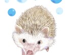 透明感のある優しいペットのデジタル似顔絵描きます いつまでも飾りたくなるリアルであたたかみのある仕上がりに イメージ2