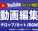 スピード対応!!YouTube用動画編集承ります 迅速な対応、修正は何度でもOK!!いつでもご連絡ください。 イメージ1
