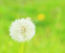 子育て中ママお電話お待ちしてます 子供がバタバタしていても気にせずお電話下さい^ - ^ イメージ1