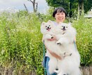 中国語で楽しく雑談します 細かい間違いを気にせずに中国人の私と楽しくお話ししませんか？ イメージ1