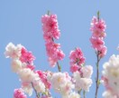 自分から見たら【大きな悩み事】に心から寄り添います 人から見たら大したことなくても悩んでることってありますよね… イメージ8