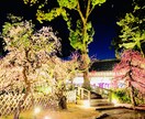 合格祈願⭐️学問の神様の北野天満宮へ代理参拝します 受験や大事な試験を控えている方やご家族様へ イメージ1