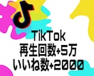 TikTok再生数５万回いいね2000増加します TikTokいいねと再生数の増加！振り分け可能！減少保証付き イメージ7