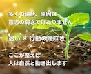 目標達成に向けて行動と習慣化をサポートします 思考整理×自己理解で迷いを整理し次の一歩へ イメージ3
