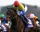 8月17、18日の競馬予想を提供します データとパドックを駆使した究極の軸馬を公開！ イメージ1