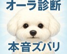あなたの“オーラの色”と本音を診断します あなたの“オーラの色”と本音診断。お試しにおすすめ！ イメージ1