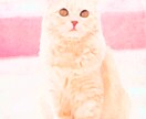 画像を絵やイラスト風にします 画像をかわいい絵にします！！！ イメージ3