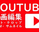 YOUTUEBの動画編集承ります カット割り、テロップ、ワイプ、BGM、効果音の挿入 イメージ1