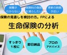 即日納品！FPがご加入中の生命保険を分析します プロがスッキリわかりやすく1枚にまとめます。アドバイス付き。 イメージ1