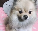 愚痴相談、ちょっと話したい等聞きます 日常で誰かに愚痴や相談誰かとちょっと話したい時に イメージ2