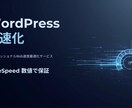 WordPress高速化・スコアを数値で保証します PageSpeedで無料診断→数値で保証します イメージ1