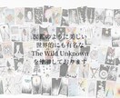 哲学とタロットで本質を射抜き、静寂と秩序を届けます 占いを超えた上質な対話を。写真集のような鑑定書をお届けします イメージ5