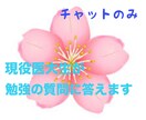 英検1級取得の現役医大生が勉強の質問に答えます 回数無制限!チャットにて受験相談などに個別に対応します。 イメージ1