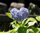 ひとりじゃない　そばにます 上手く話せなくても大丈夫　味方です イメージ1