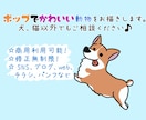 ポップでかわいい動物をお描きします SNS、ブログ、挿絵に！ポップに動物達の個性を出します！ イメージ1