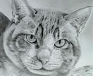 愛猫愛犬などをアクリル画・鉛筆画で似顔絵を描きます 完成した絵を確認後の購入なので安心！確認後のキャンセルも無料 イメージ6