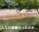 テロップ入れ、カット入れ代行します 安く、極力短い納期でお届けします！ イメージ3
