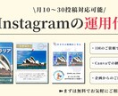 Instagram運用代行を致します ターゲットに刺さるInstagram運用を致します イメージ1