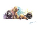 ペットの手描きイラストをお描きします 思い出・プレゼントにどうぞ【現物&データ】 イメージ8