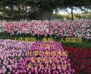 貴方のお話し聞きます 誰かに話したい聞いてほしい事何でも聞きます イメージ2