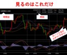 スマホでシンプルFX公開します 働く人に絶対オススメ、ローリスク・ローリターンFX イメージ3