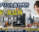 お手持ちのSTLデータを3D印刷代行します 【キャンペーン中】1つだけ、即納品可能です。 イメージ1