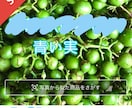 メルカリで野草販売のお手伝いします 災害時の非常食にもなる野草、フリマアプリで売れます。 イメージ4