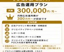 プレミアム広告運用　上位プランます 月間広告運用費が300万円〜までの規模感が目安 イメージ2