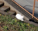 30分まで一律1,000円でテープ起こしやります 30分までの動画を一律1,000円でお受け致します。 イメージ1