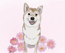 動物、人物、ペットの似顔絵作成します リアルで温かみのあるイラストを☆ イメージ10