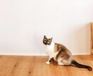 さみしい。誰かとお話したいとき。お話相手になります １分から。どんなお話でも大丈夫です。 イメージ4