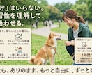 犬の問題行動をストレスから一緒に解決します 犬だけを変えない。人の接し方から変える犬育て イメージ1