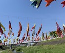 看護師、看護学生の勉強、レポートご相談のります おチカラ添えになれること嬉しいです イメージ1