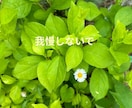 ゆるっと雑談・気分転換に寄り添います あなたの「話したい」気持ちを優しくサポートします イメージ3