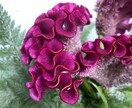 お花と繋がり霊視で【チャット】メッセージを降します 今の悩み、心配事、なんでもお花に聞いて、お答え致します。 イメージ3