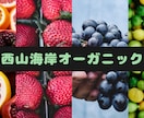 反応率重視のバナー制作します 目に止まり反応につながるデザイン。 イメージ4