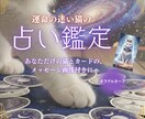迷えるあなたを猫が導きます チャット形式でやさしく占う運命猫鑑定 イメージ1