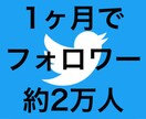 29日でフォロワー2万弱増やした方法暴露します やり方さえ知ってしまえばライバルのごぼう抜きはカンタンです。 イメージ1