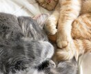 とにかく否定せず話を聞いて欲しい。何でも伺います 気軽にトークルームでお話してみましょう。 イメージ1