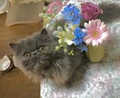 あなたを笑顔にさせます 恋愛.お仕事.日常での困ったことなどなど。 イメージ1