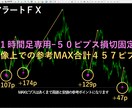 専業がガッツリ狙うスイングとデイトレード提供します FX初心者でもシンプルな鉄板スキルを習得し相場観を養えます イメージ7