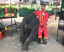 タイのおすすめ教えます タイで何しよう？何食べよう？というあなたへ イメージ1