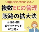 輸出越境ECの複数販路の管理・拡大の悩み解決します 越境EC運用のプロが個別最適にサポート・アドバイスいたします イメージ1