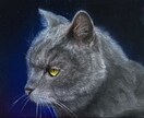 写真のようなリアルな絵を描きます ふんわりとした温かい雰囲気も、肖像画も得意です！ イメージ1