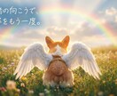 一生の宝物になる「ファンタジー動画」を制作します Family Fantasyお子様・ペットを魔法の世界へ！ イメージ5