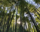 スマホで写真を撮ってます 良い風景様々な瞬間が撮れたらと思ってカメラ構えてます！ イメージ1