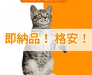 即納品&格安！白抜き、背景透明、写真加工します 切り抜き、色変更、不要物の除去、美容レタッチなど全て対応！ イメージ2