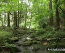強力縁結び♡成田山の愛染明王に良縁を祈ります 運命の恋を叶える♡日本有数のパワースポットで恋愛成就♡ イメージ5