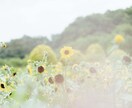 女性限定！10分集中お話し出来ます 仕事や家庭、介護や子育て、恋愛相談も♪ イメージ1