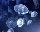 簡易的に占います ちょっとした道標、気になること占います イメージ1